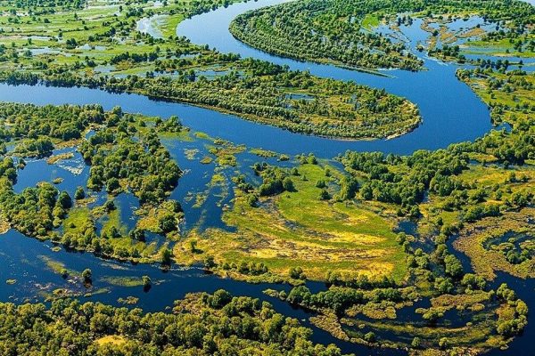 Припятский